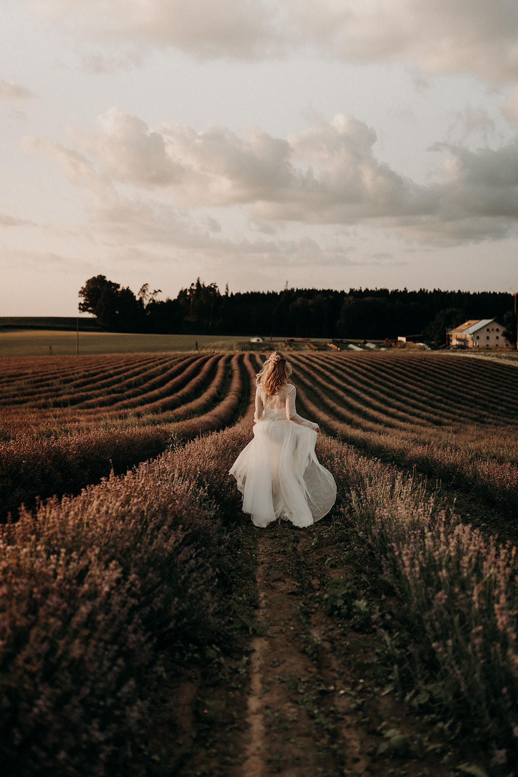 Braut im Feld